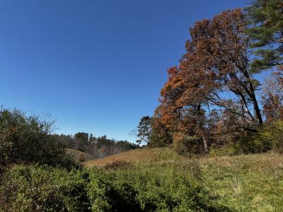 Asheville 28 Acres - Image# 4