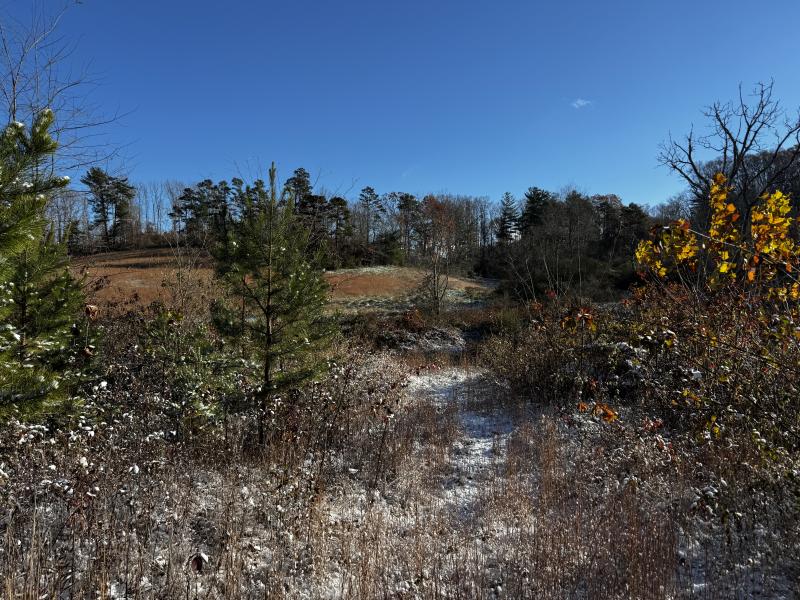 Asheville 28 Acres - Image# 44