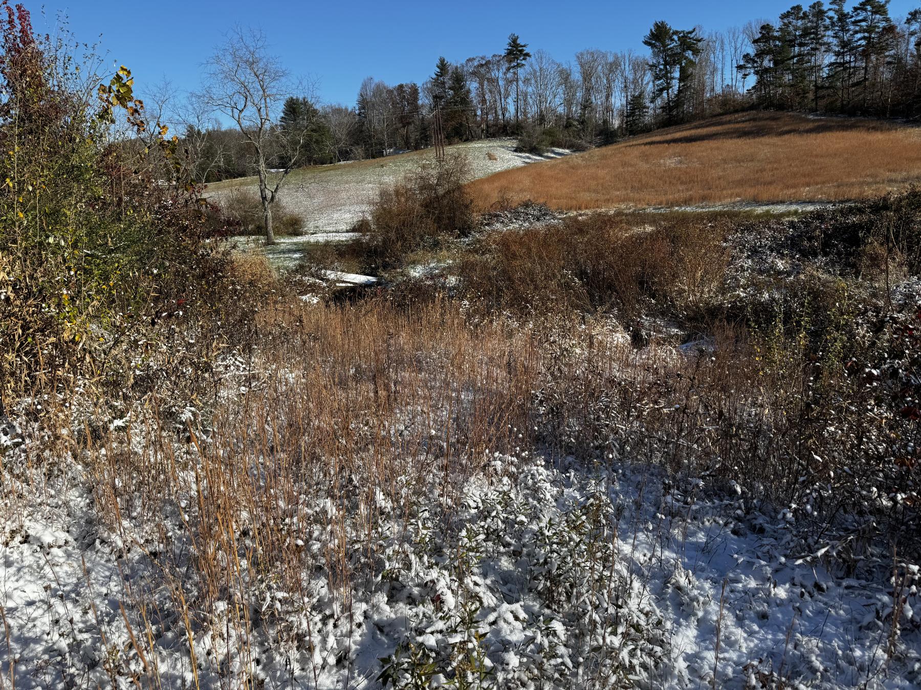 Asheville 28 Acres - Image# 43