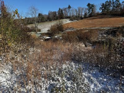 Asheville 28 Acres - Image# 43