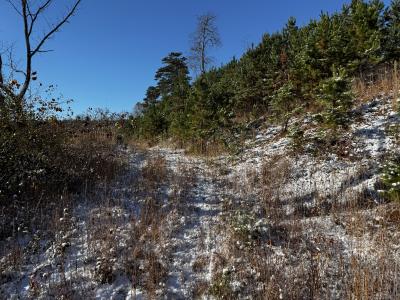 Asheville 28 Acres - Image# 40