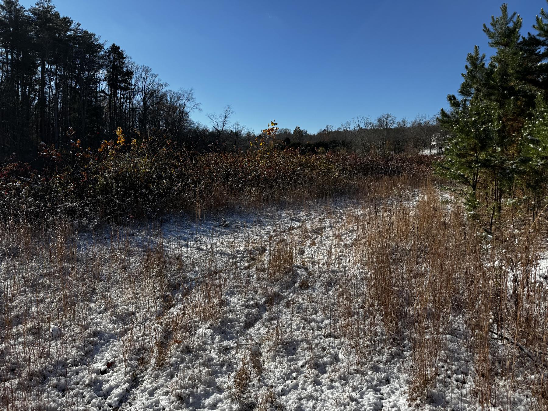 Asheville 28 Acres - Image# 39