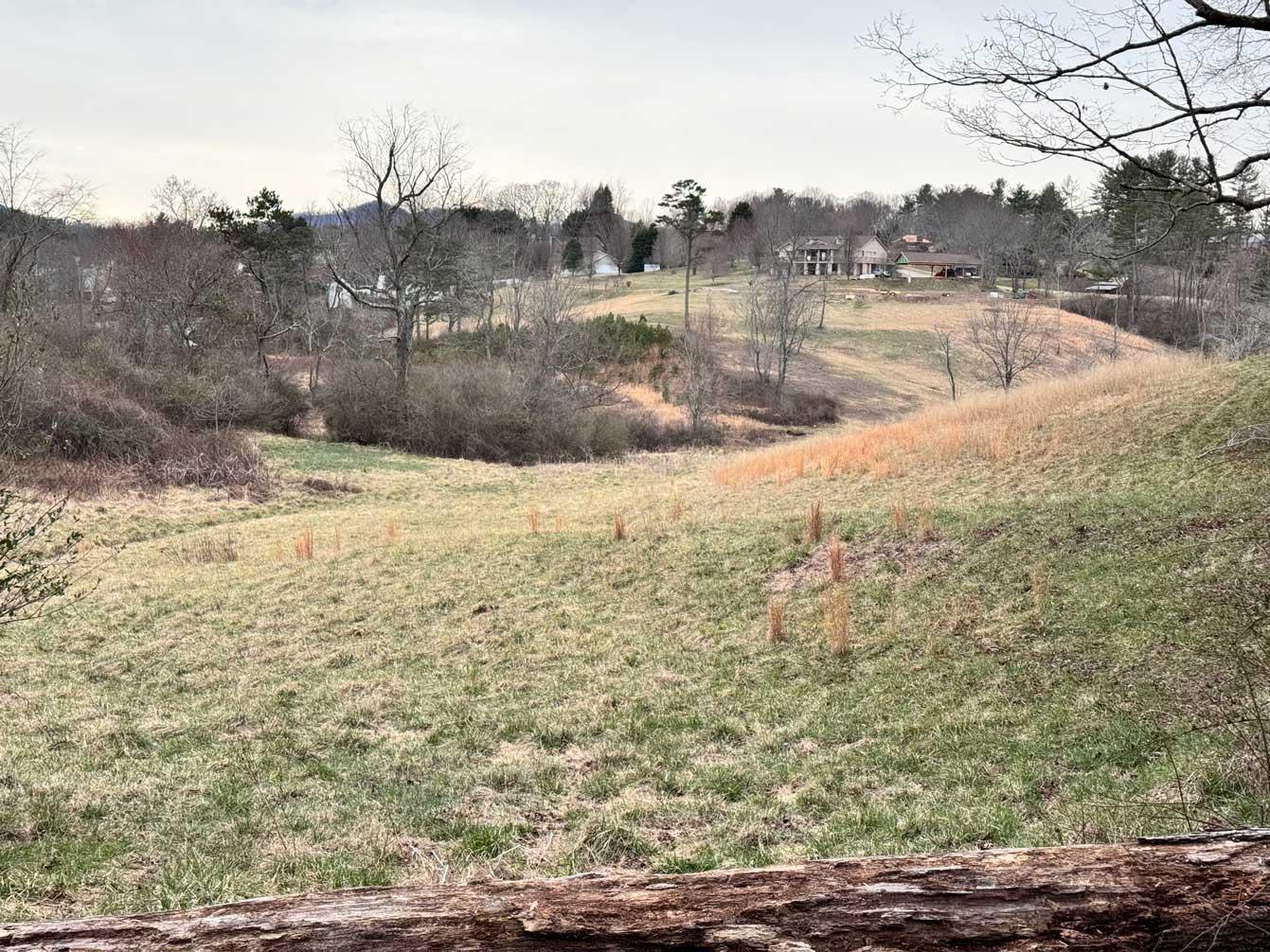 Asheville 28 Acres - Image# 15