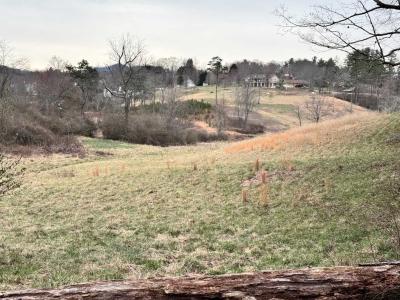 Asheville 28 Acres - Image# 15