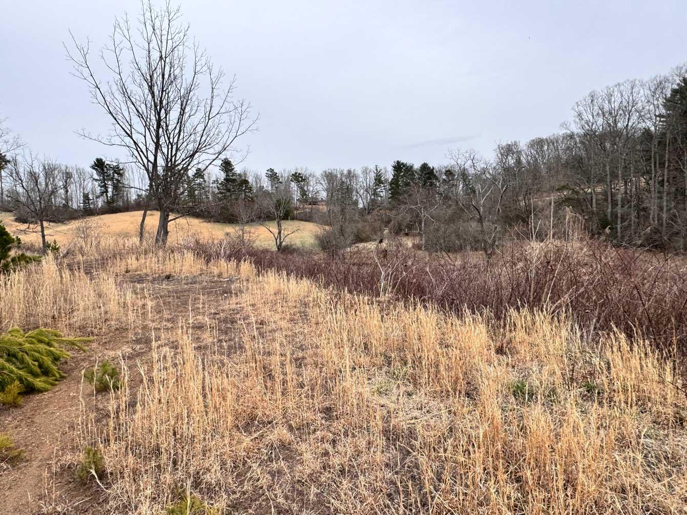 Asheville 28 Acres - Image# 14