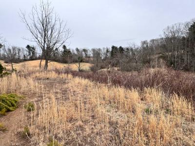 Asheville 28 Acres - Image# 14