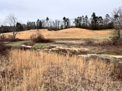 Asheville 28 Acres - Image# 18