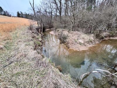 Asheville 28 Acres - Image# 16