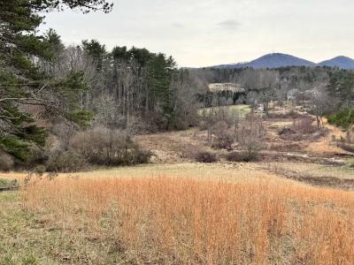 Asheville 28 Acres - Image# 17