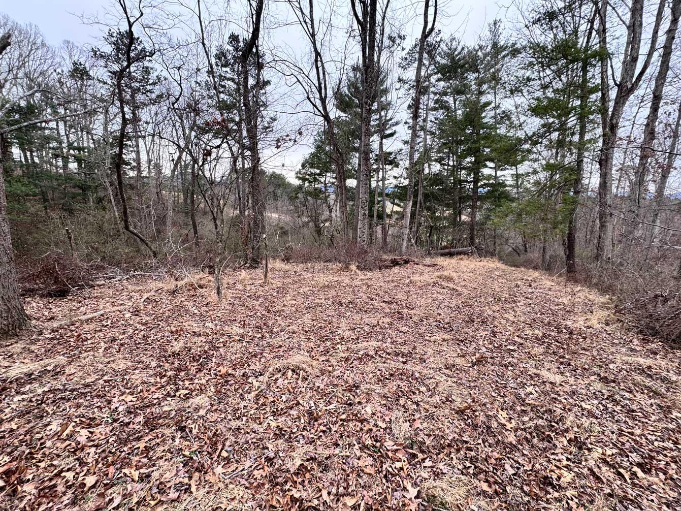 Asheville 28 Acres - Image# 19