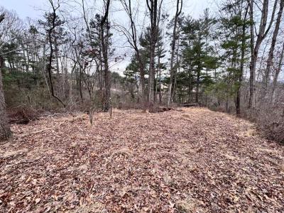 Asheville 28 Acres - Image# 19