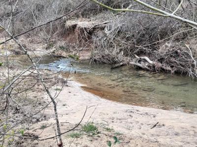 Asheville 28 Acres - Image# 22