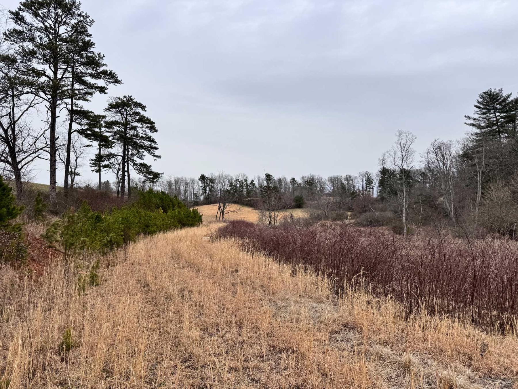 Asheville 28 Acres - Image# 23