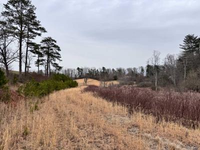 Asheville 28 Acres - Image# 23