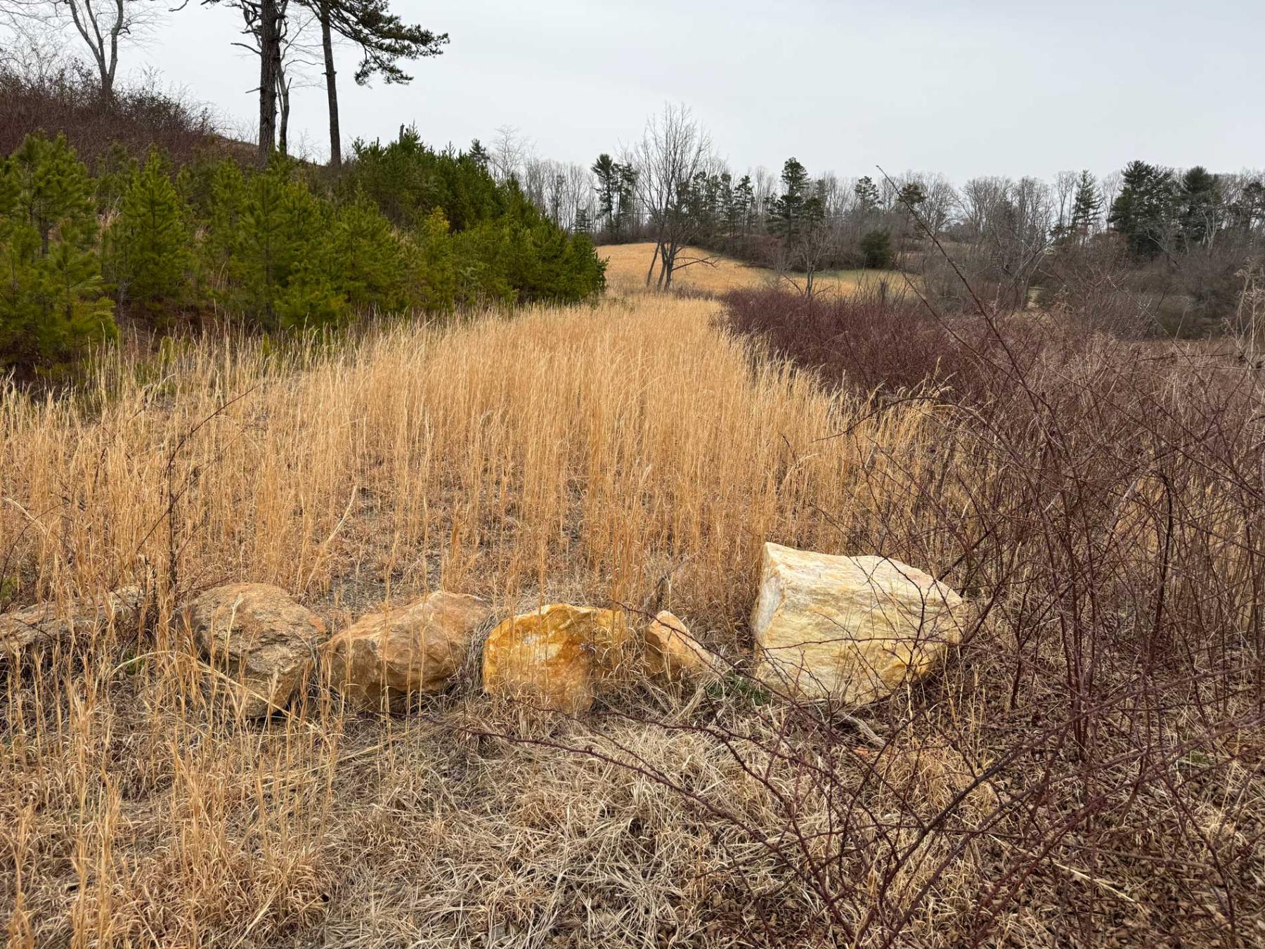 Asheville 28 Acres - Image# 24