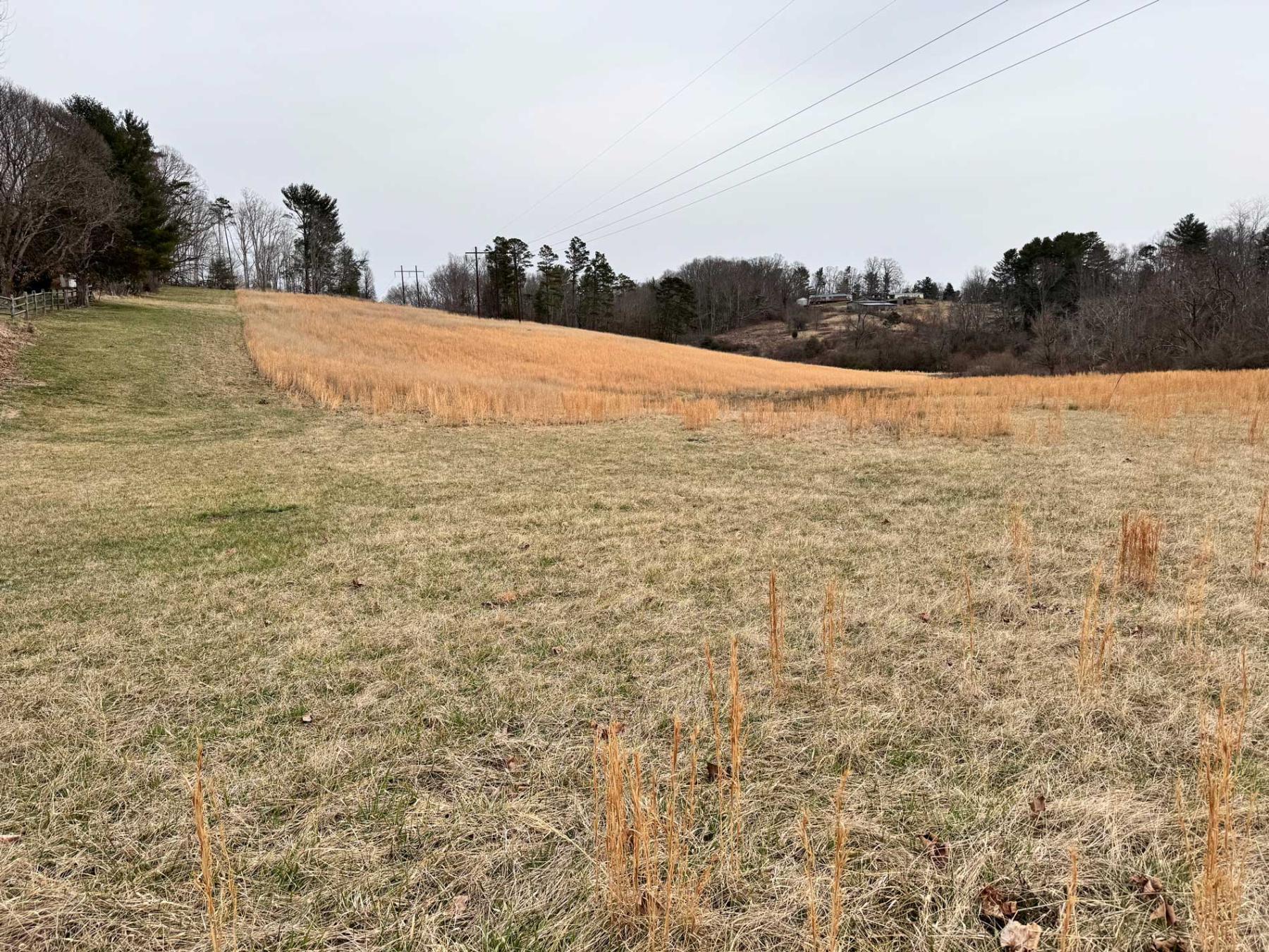 Asheville 28 Acres - Image# 26