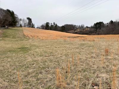 Asheville 28 Acres - Image# 26