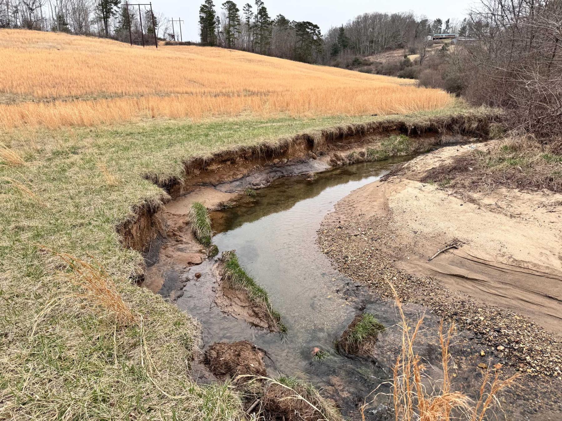 Asheville 28 Acres - Image# 27