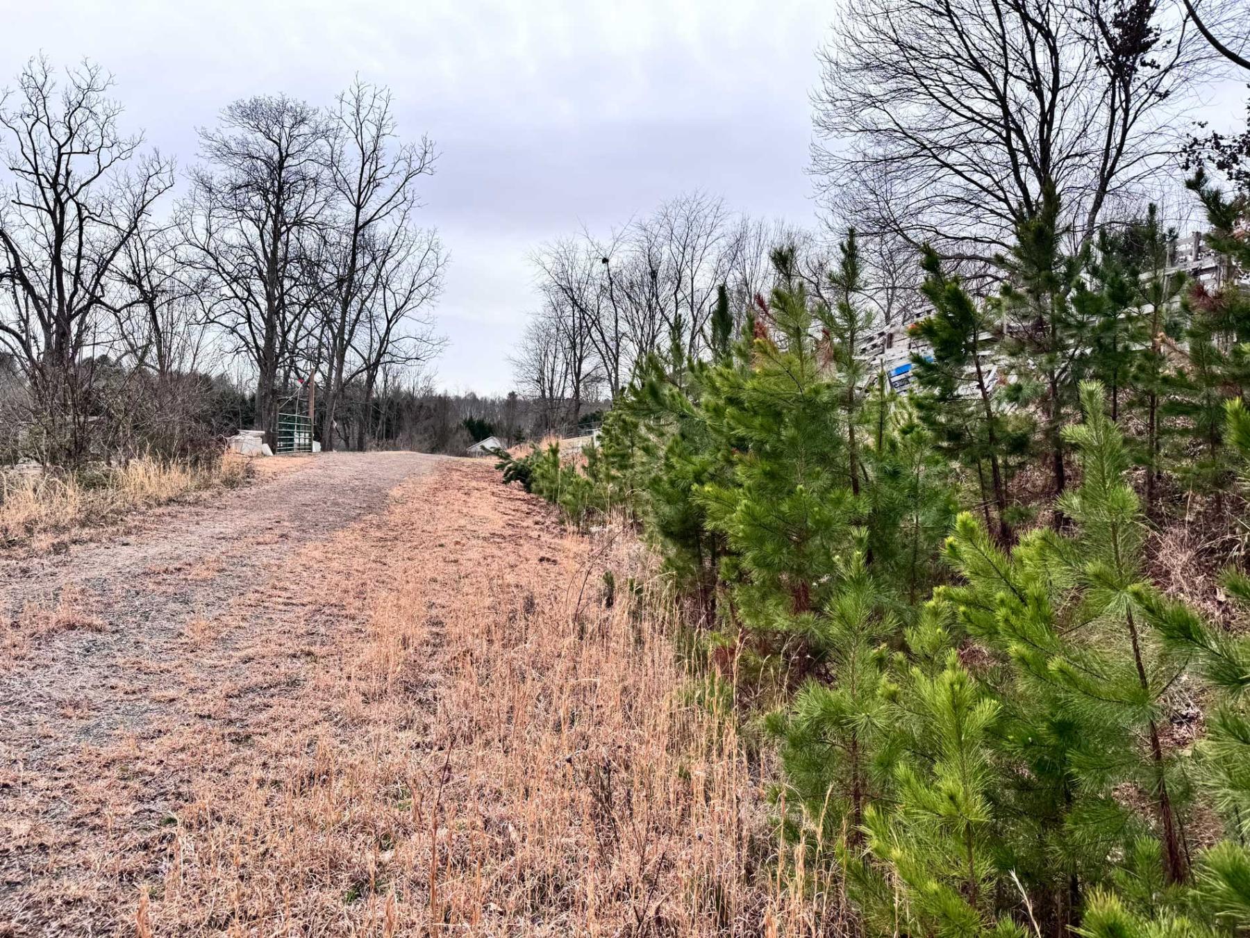 Asheville 28 Acres - Image# 28