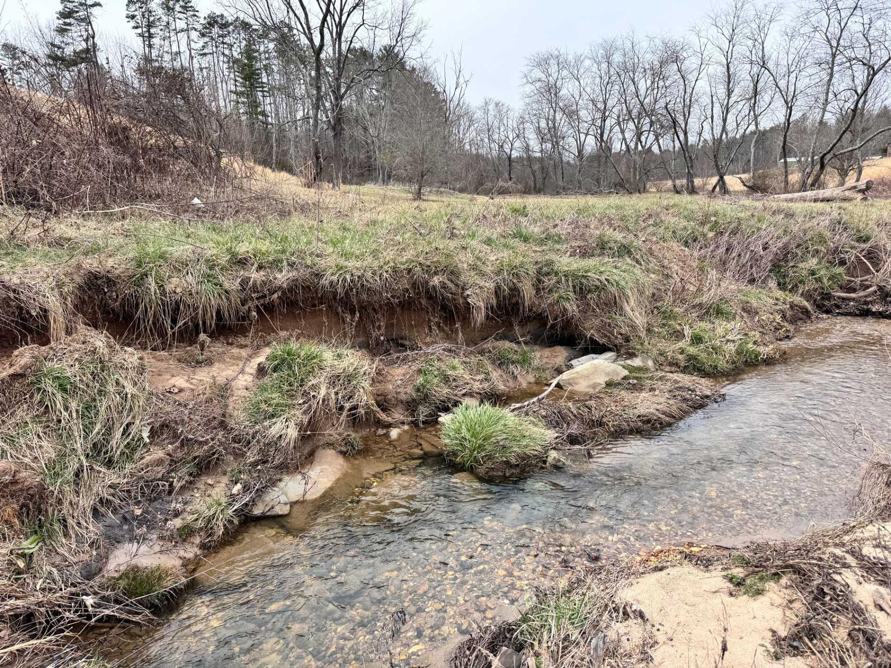 Asheville 28 Acres - Image# 30