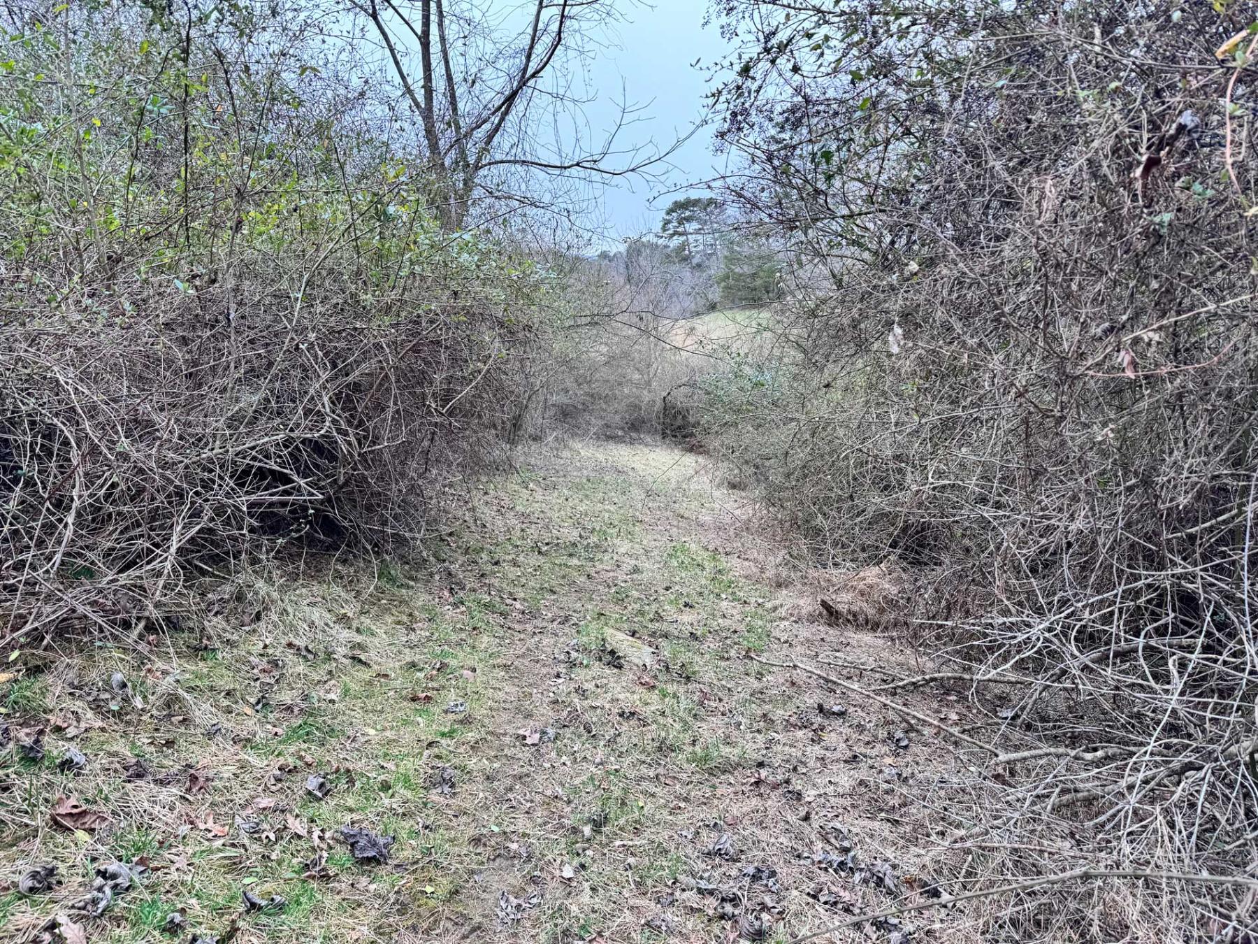 Asheville 28 Acres - Image# 31