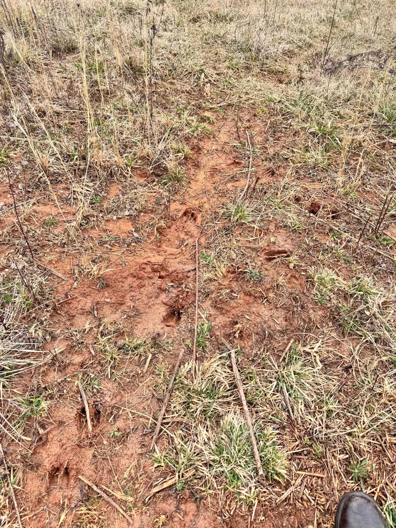 Asheville 28 Acres - Image# 32