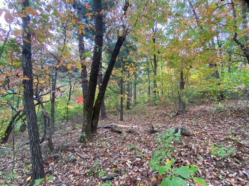 Pinnacle Falls - Image# 1