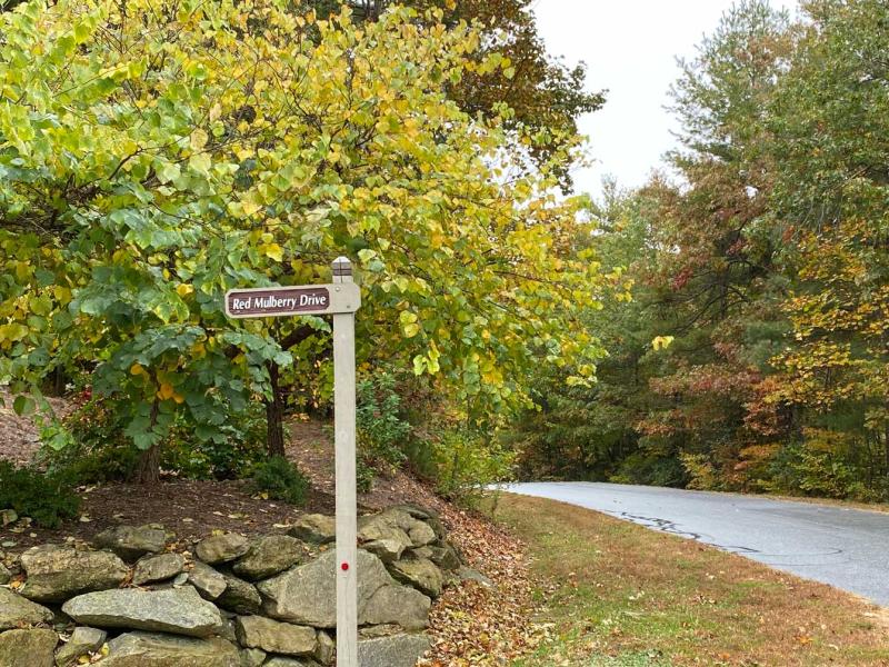 Pinnacle Falls - Image# 5