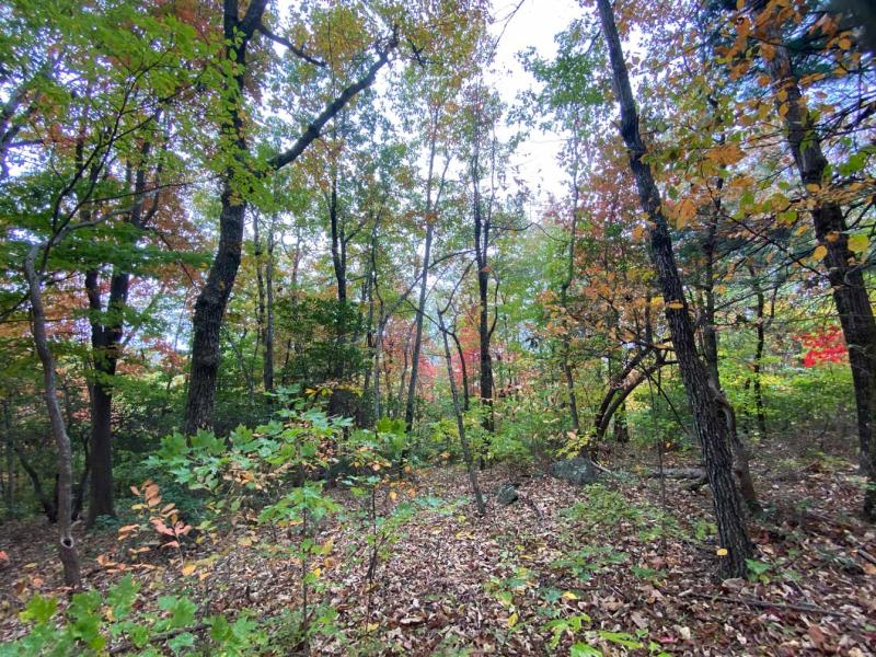 Pinnacle Falls - Image# 7