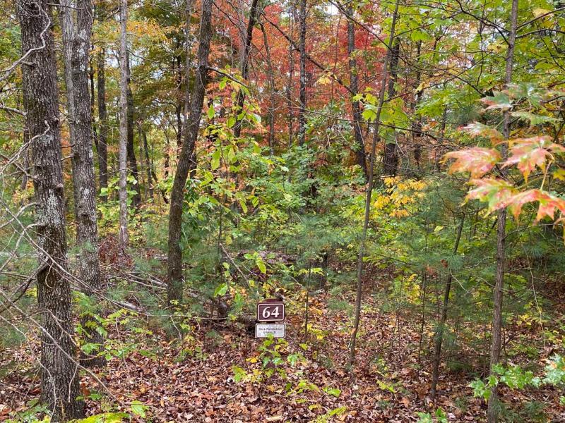 Pinnacle Falls - Image# 11