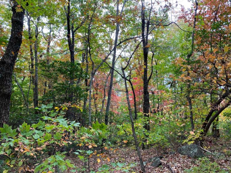 Pinnacle Falls - Image# 12