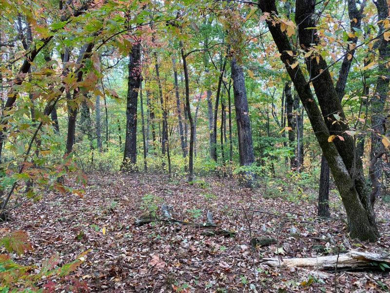 Pinnacle Falls - Image# 13