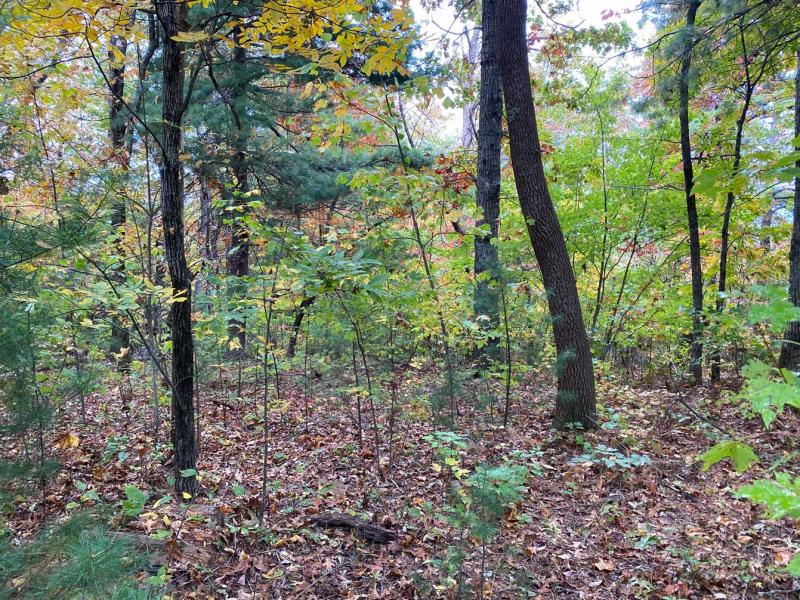 Pinnacle Falls - Image# 14