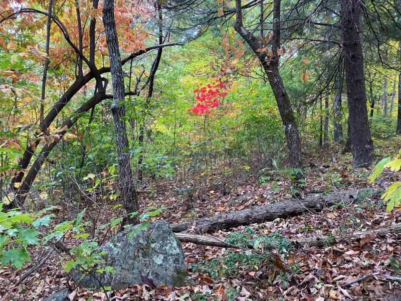 Pinnacle Falls - Image# 15