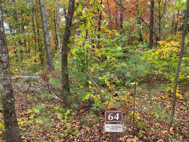 Pinnacle Falls - Image# 16