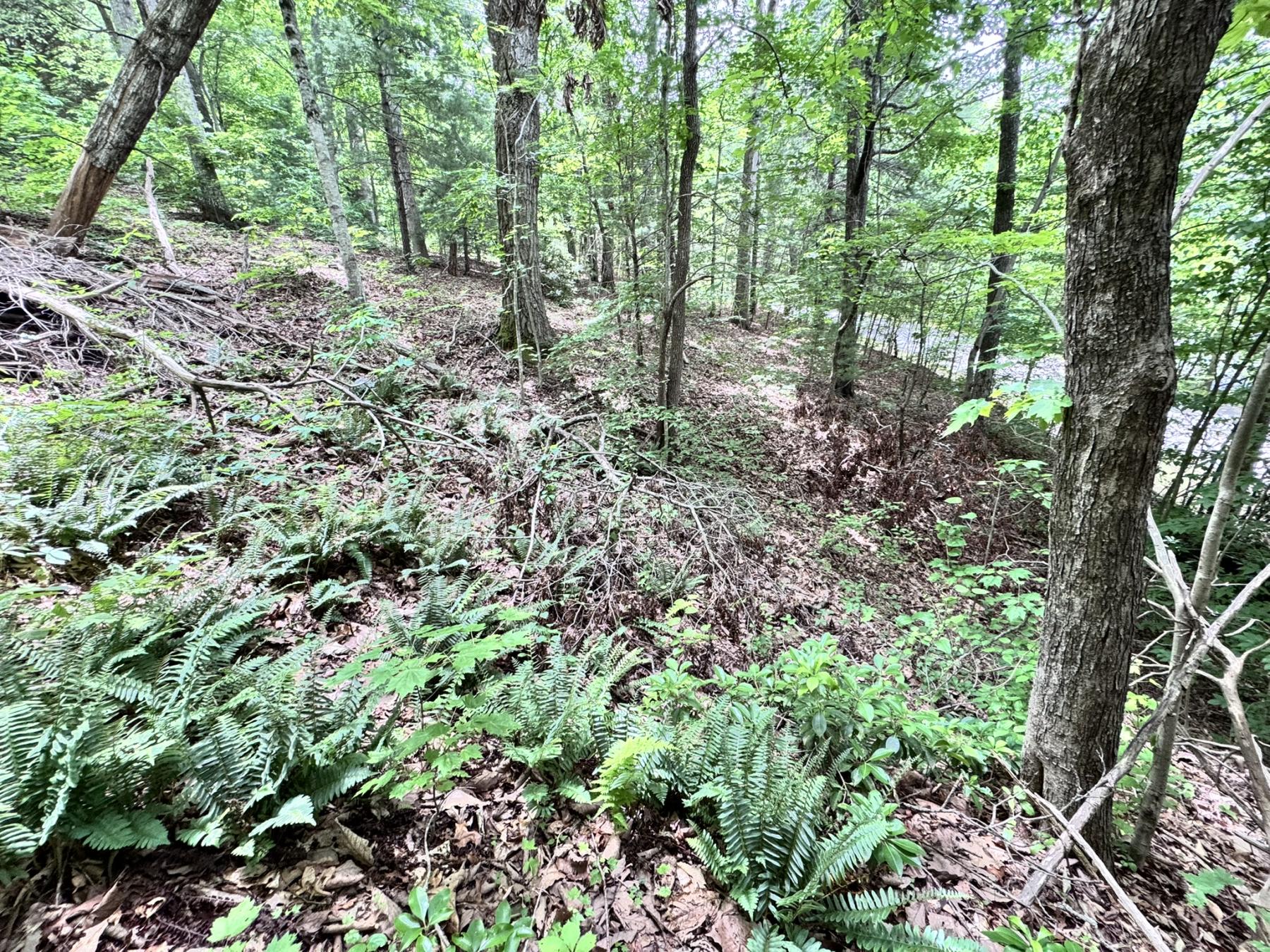 Leicester Home - Image# 28