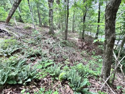 Leicester Home - Image# 28