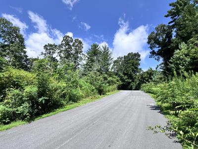 WinterHawk Lots Arden - Image# 6