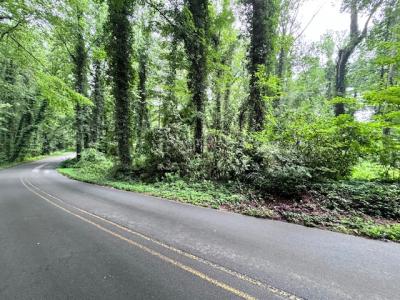 Flat Rock Forest Lots