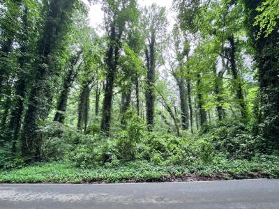 Flat Rock Forest Lots - Image# 3