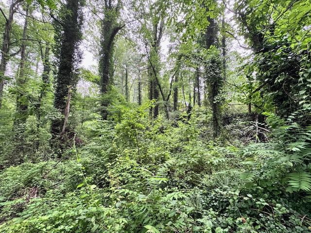 Flat Rock Forest Lots - Image# 6