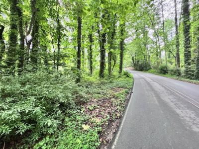 Flat Rock Forest Lots - Image# 9