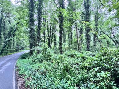 Flat Rock Forest Lots - Image# 10