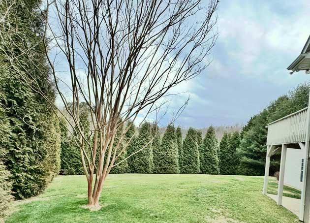 North Asheville Home - Image# 3