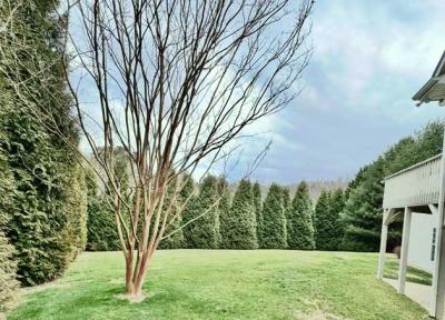 North Asheville Home - Image# 3