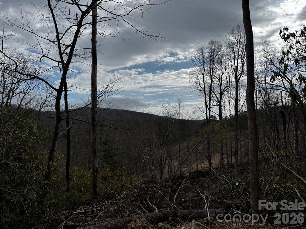 Edneyville 10 Acres - Image# 37