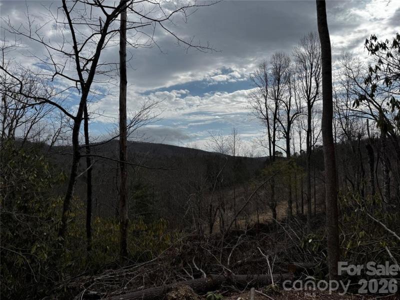 Edneyville 10 Acres - Image# 37