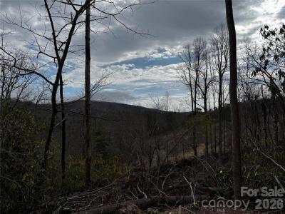 Edneyville 10 Acres - Image# 37