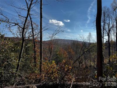 Edneyville 10 Acres - Image# 36