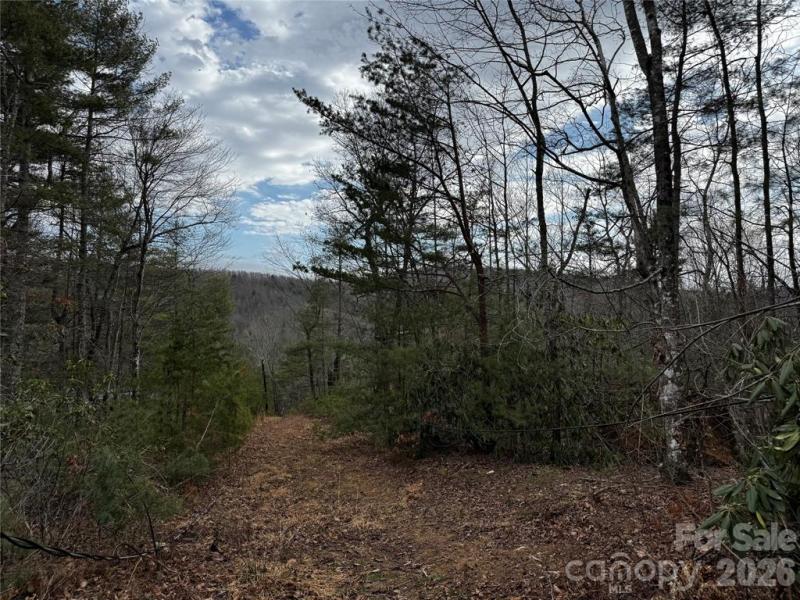 Edneyville 10 Acres - Image# 35